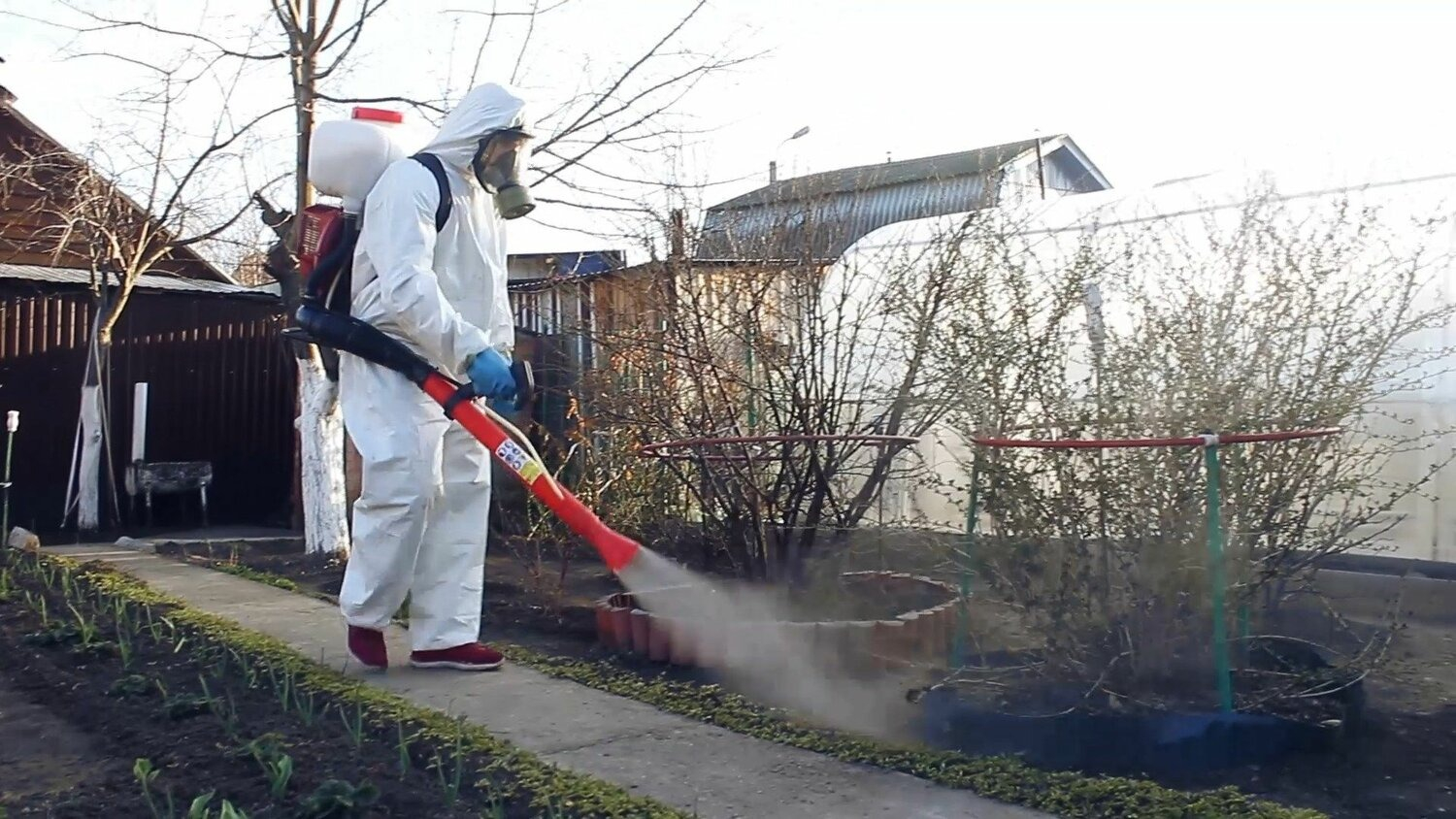 ФОТО Уничтожение муравьёв в Одинцово