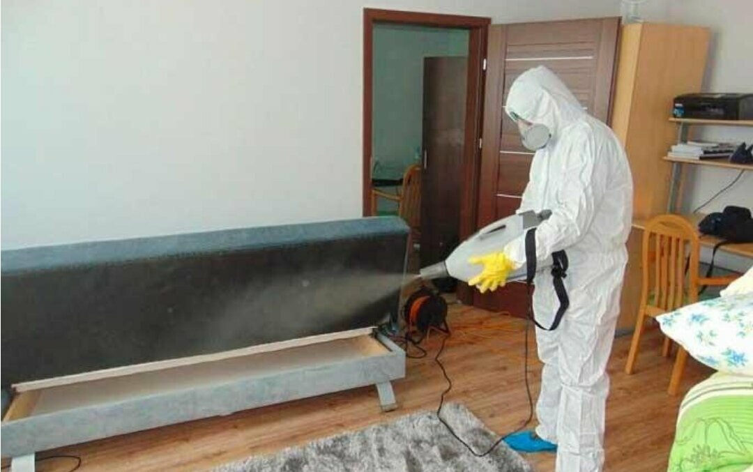 ФОТО Уничтожение блох в Одинцово