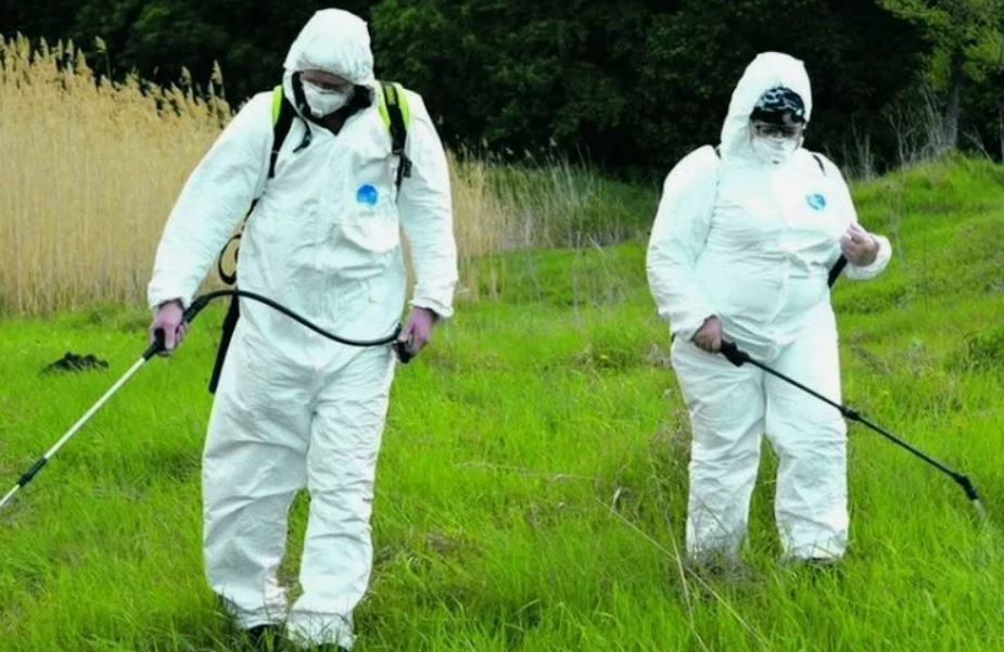 ФОТО Обработка от клещей в Одинцово