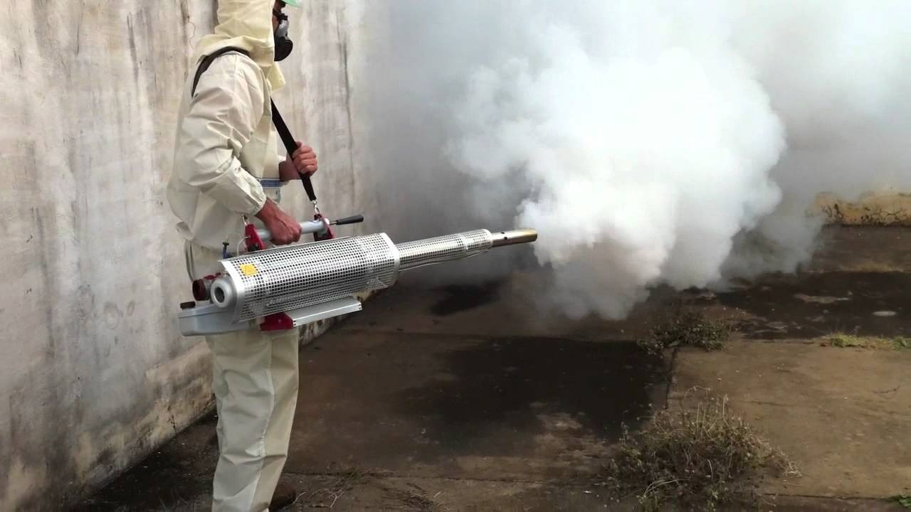 ФОТО Уничтожение мух в Одинцово