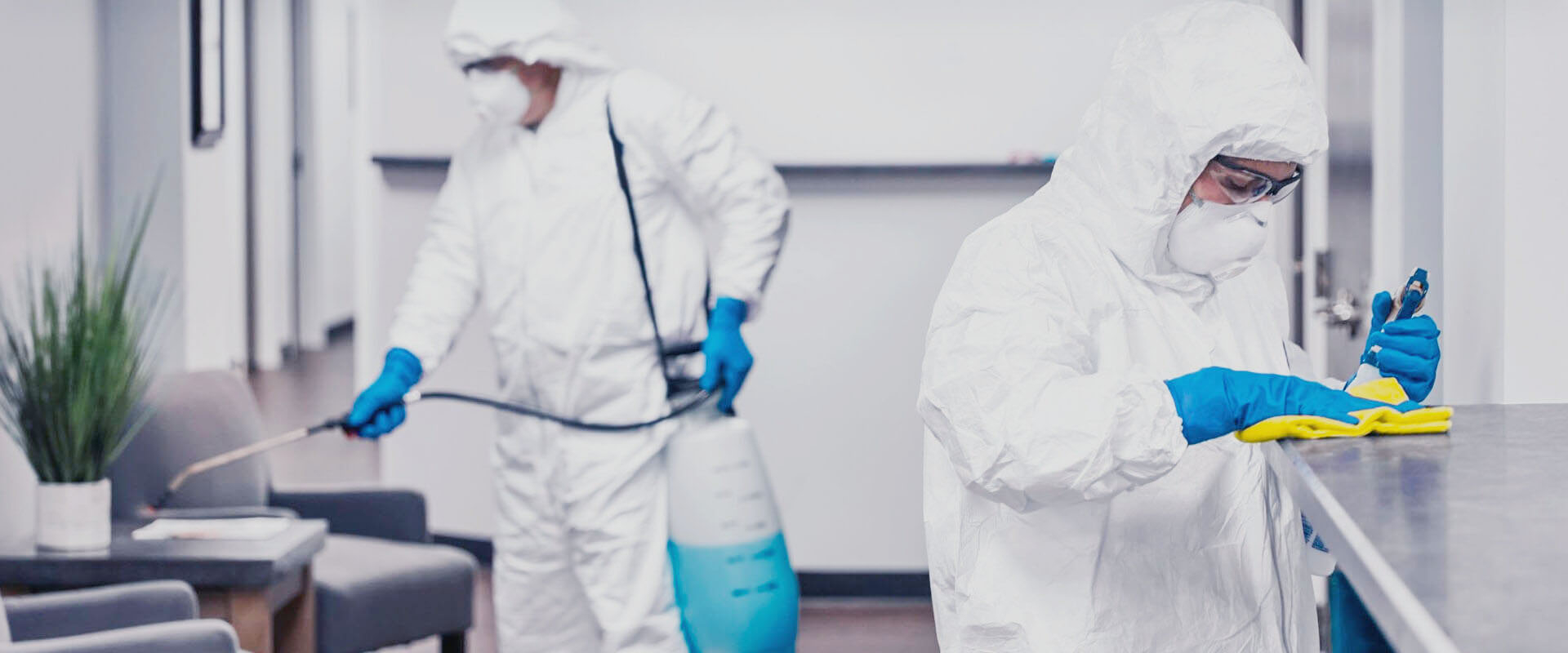 ФОТО В чем разница между дезинфекцией и дезинсекцией в Одинцово? | подробно