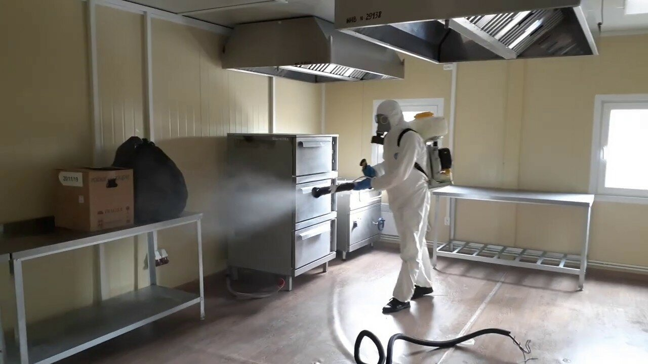 ФОТО Можно ли провести дезинсекцию самостоятельно и какие существуют риски в Одинцово? | подробно