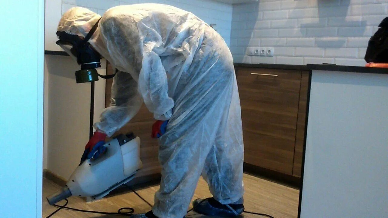 ФОТО Как подготовить домашних животных к обработке от насекомых в Одинцово? | подробно