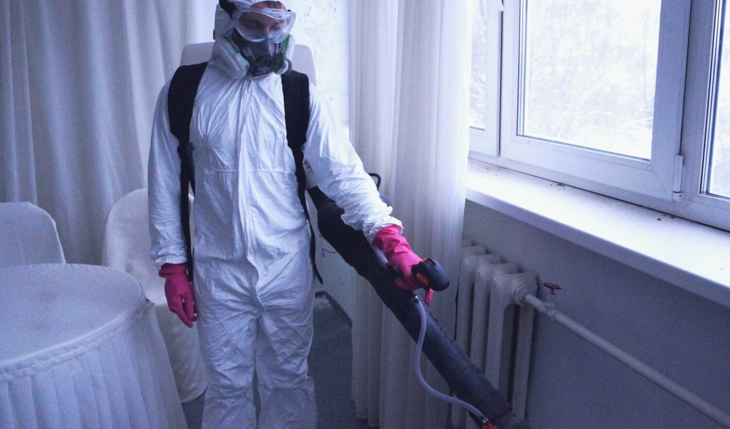 ФОТО Нужно ли выносить растения при дезинсекции в Одинцово? | подробно