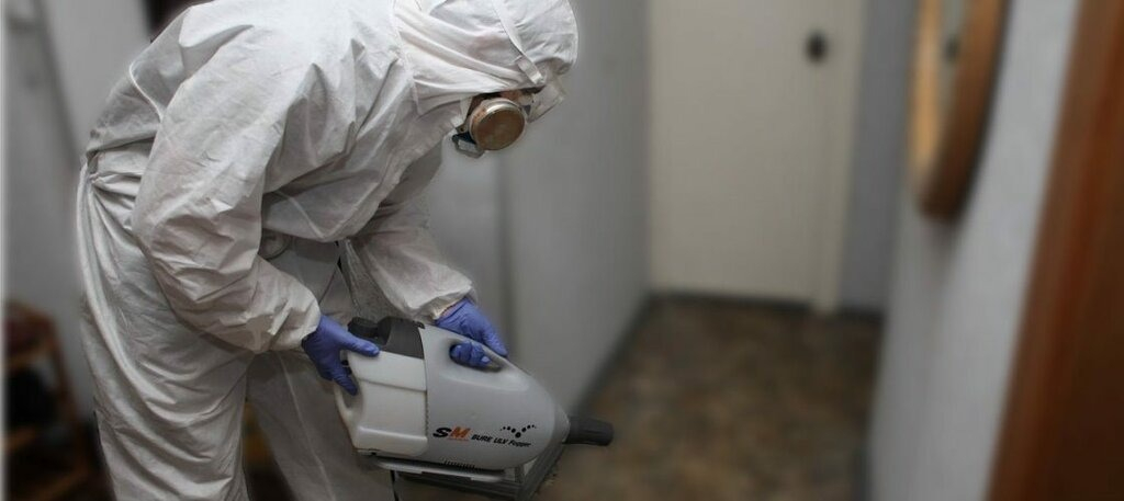 ФОТО Остаются ли следы после обработки квартиры от насекомых в Одинцово? | подробно