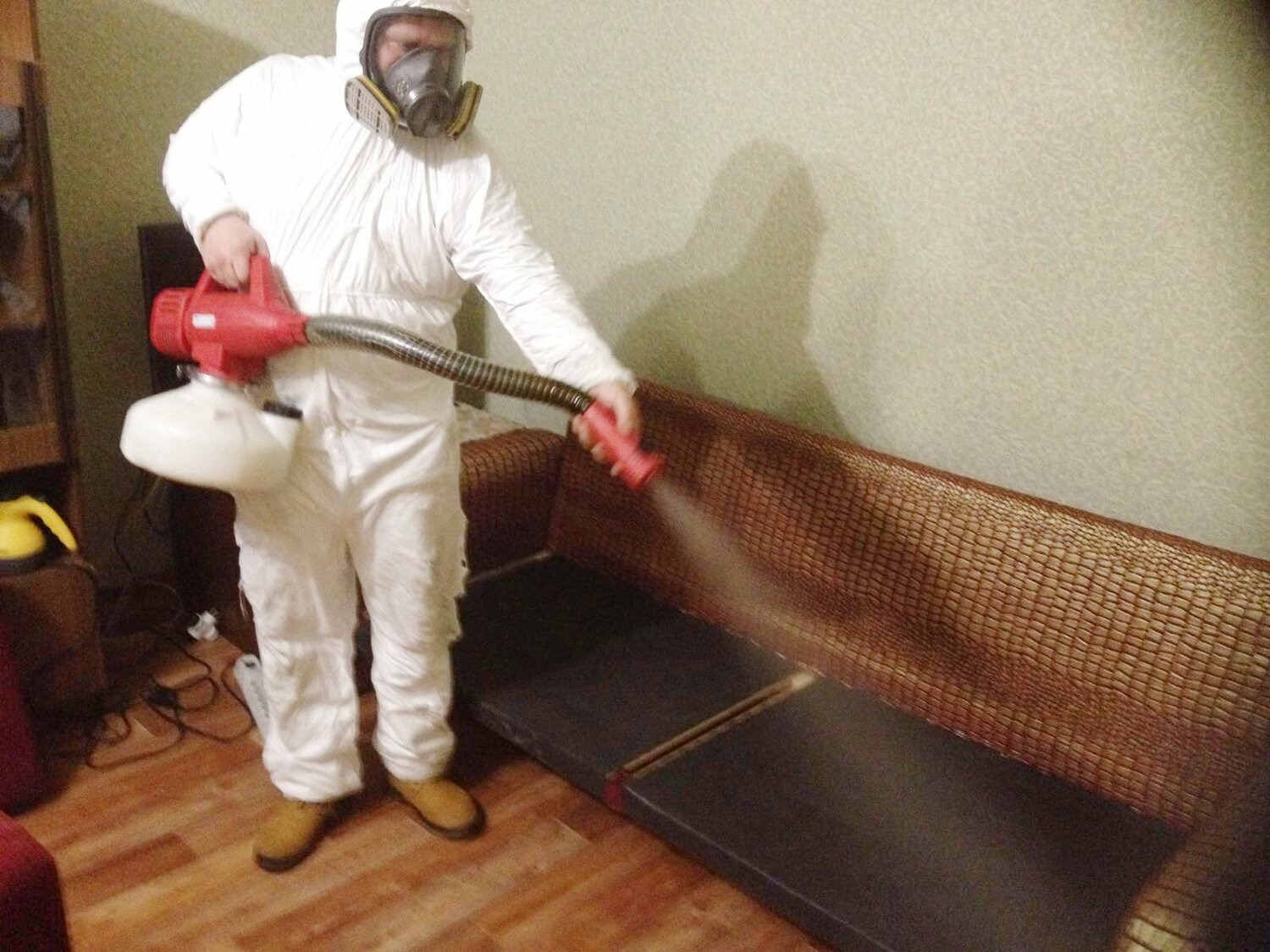 ФОТО Когда можно вернуться в помещение после дезинсекции в Одинцово? | подробно