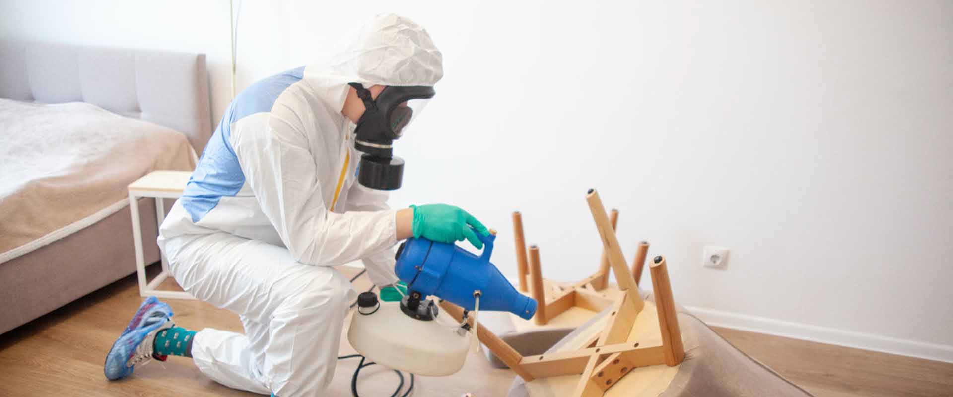 фото: Уничтожение постельных клопов с 1-го раза с гарантией за 30-60 мин. в Одинцово без предоплаты