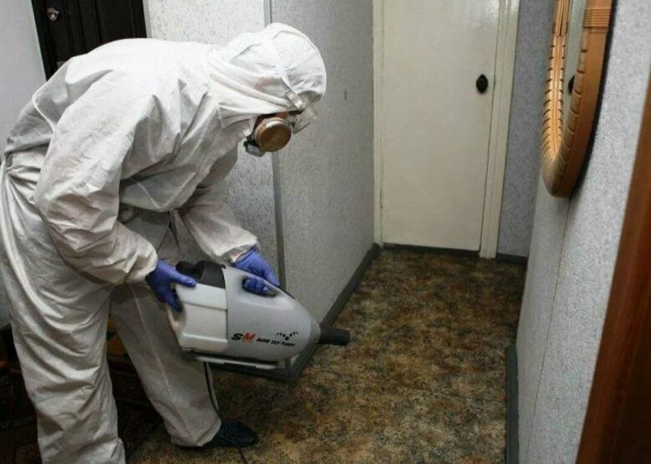 фото: Профессиональная дезинсекция в Одинцово: <br/>+7-909-173-42-96