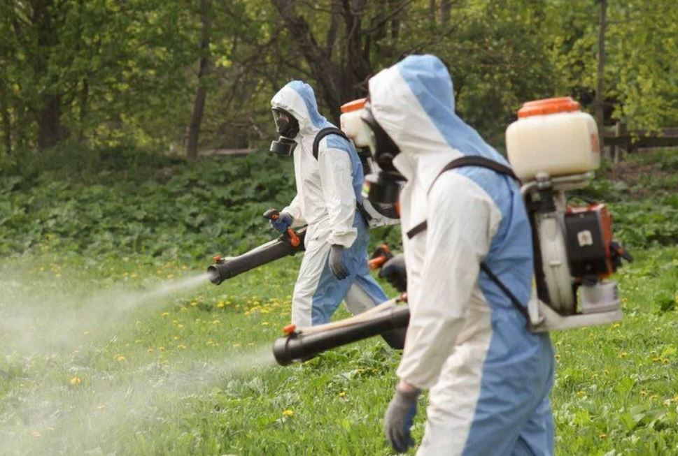 фото: Профессиональное уничтожение мух в Одинцово: <br/>+7-909-173-42-96